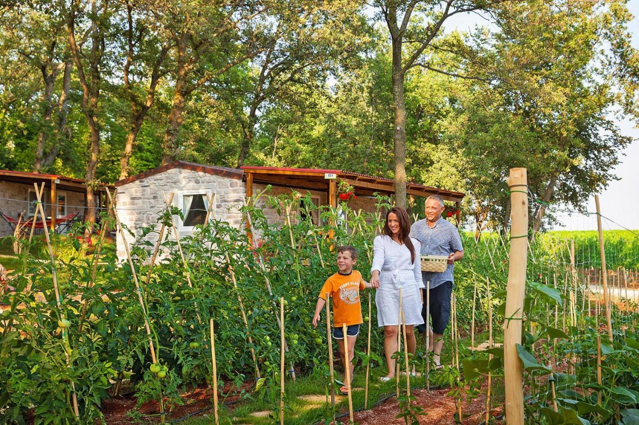 Aminess Maravea Camping Resort Holiday Homes Novigrad Istria Kültér fotó